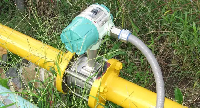 ภาพตัวอย่างเครื่องมือ: แบบวอร์เท็กซ์ (Vortex Shedding Flow Meter)